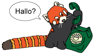 A red panda trying to use an old fashioned phone