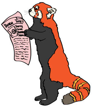 A red panda reading a newspaper with a headline about jaffa cakes